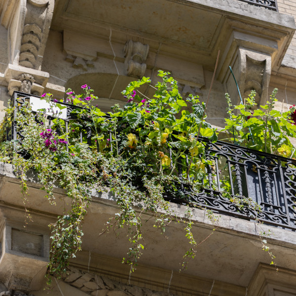 Refuge LPO balcon en région parisienne © Rishane Colas / LPO